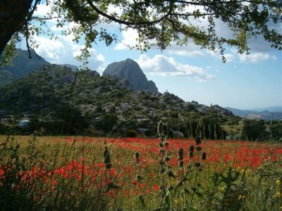 Villa Mountain Hideaway w/ Pool - Environment photo 16