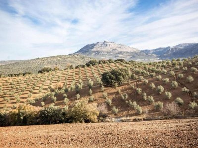 Villa Mountain Hideaway w/ Pool - Environment photo 19