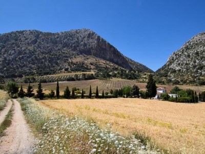 Villa Mountain Hideaway w/ Pool - Environment photo 27