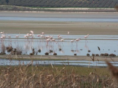 Villa Mountain Hideaway w/ Pool - Environment photo 33