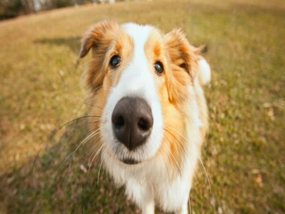 Villa Mountain Hideaway w/ Pool - Outdoor photo 37