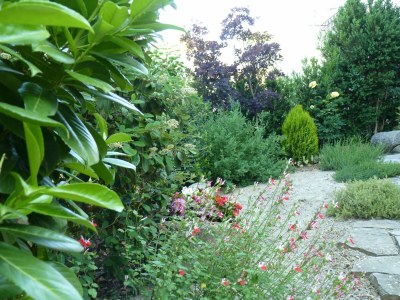 Holiday house Belvilla by OYO Casa Vella - Outdoor photo 7