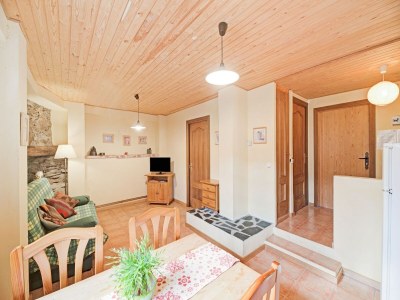 Apartment Apartment in Isavarre near Pyrenees Mountains - Features photo 5