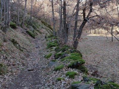 Apartment Apartment in Isavarre near Pyrenees Mountains - Environment photo 23