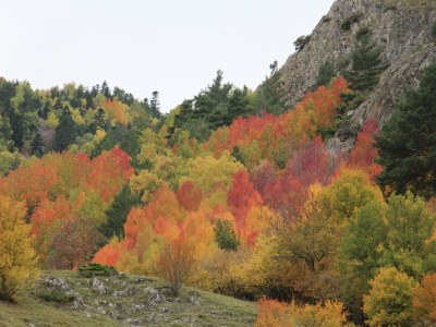 Apartment Apartment in Isavarre near Pyrenees Mountains - Environment photo 29