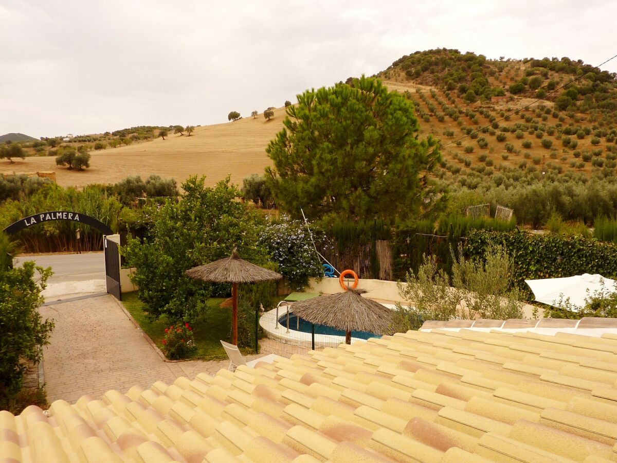 Holiday house Landhaus bei El Torcal Naturpark - Outdoor photo 5