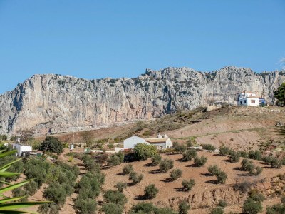 Holiday house Spacious Cottage with Pool - Environment photo 25