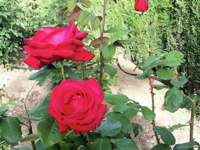 Villa Villa in Villanueva near El Torcal Park - Outdoor photo 29