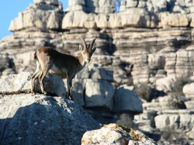 Holiday house Villa in Andalusia with Stunning Views - Environment photo 24