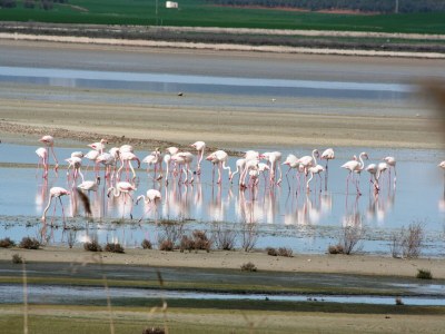 Holiday house Villa in Andalusia with Stunning Views - Environment photo 26