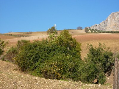 Holiday house Family Stay with Private Pool - Outdoor photo 2
