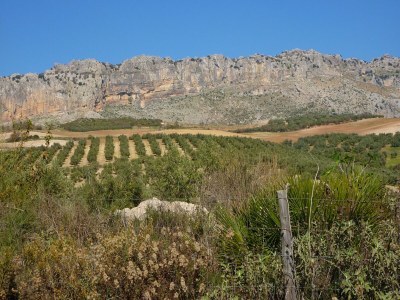 Holiday house Family Stay with Private Pool - Environment photo 31