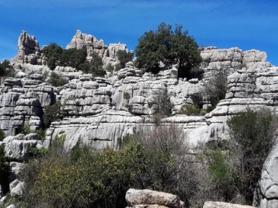 Holiday house Family Stay with Private Pool - Environment photo 36