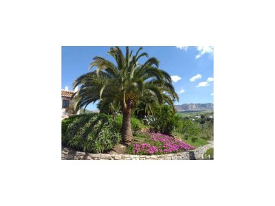 Holiday house Ferienhaus bei El Torcal Villanueva - Environment photo 38