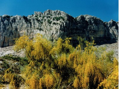 Holiday house Ferienhaus bei El Torcal Villanueva - Environment photo 39