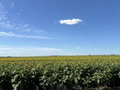 Holiday house Villa in Spain with Private Pool - Environment photo 19