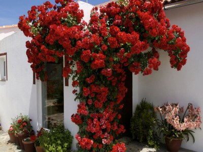 Holiday house Villa in Spain with Private Pool - Outdoor photo 20