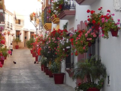 Holiday house Sonnige Casares Villa mit Pool - Environment photo 39