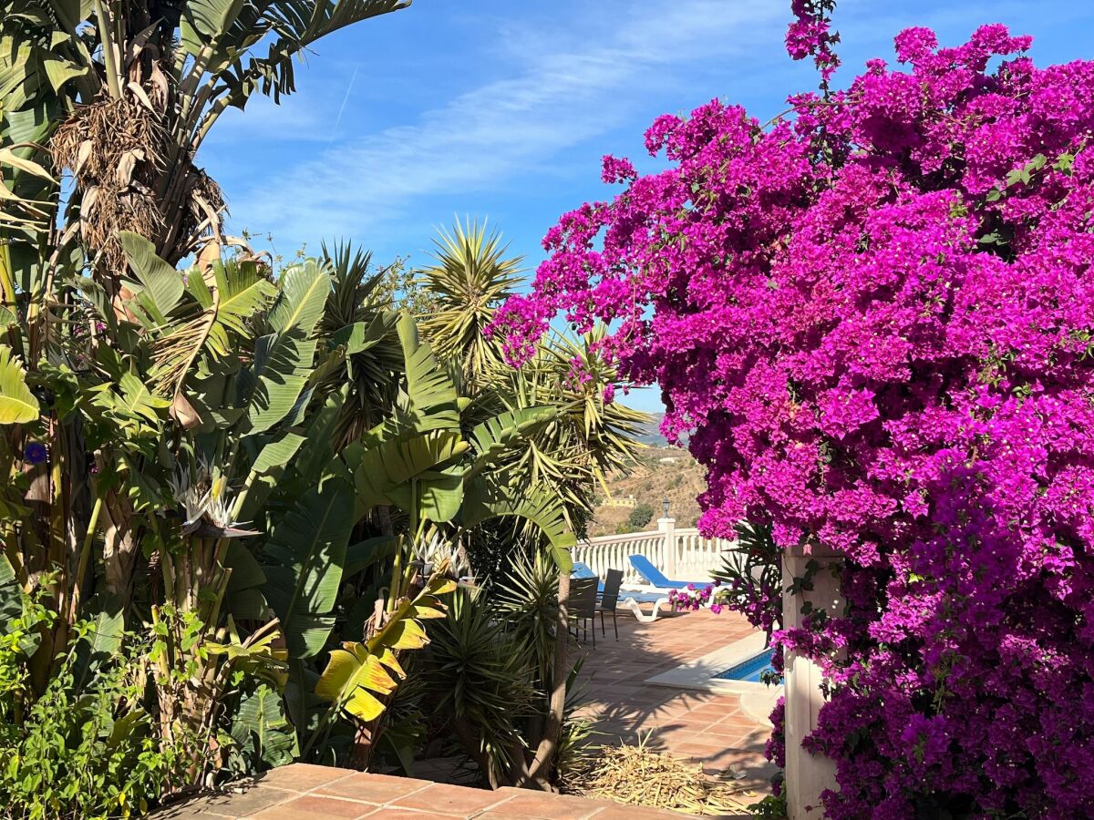 Villa Pool-Retreat in Arenas - Outdoor photo 4