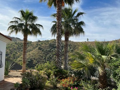 Villa Pool-Retreat in Arenas - Outdoor photo 14