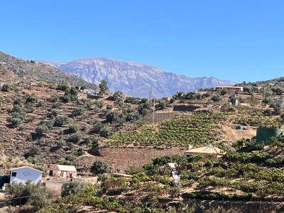 Villa Pool-Retreat in Arenas - Environment photo 37