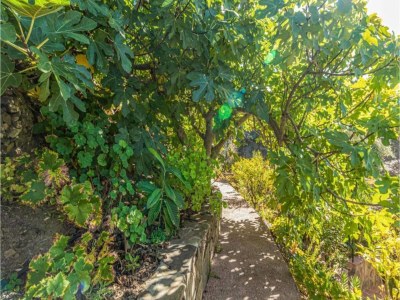 Holiday house Ruhiges Ferienhaus an der Costa del Sol - Environment photo 31