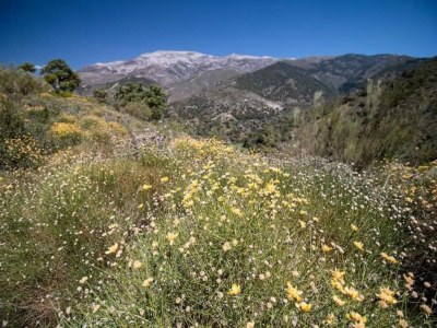 Holiday house Ruhiges Ferienhaus an der Costa del Sol - Environment photo 39