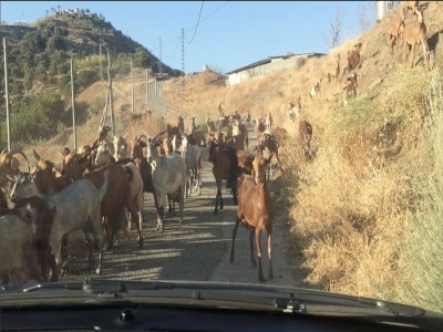 Villa Villa in Arenas with Mediterranean Views - Environment photo 29