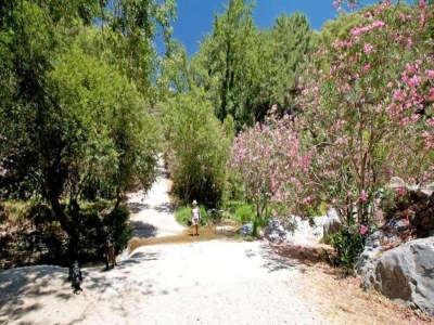 Villa Villa in Arenas with Mediterranean Views - Environment photo 36