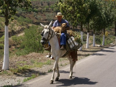 Holiday house Villa Mariposa in Spain's Sunny Paradise - Environment photo 32