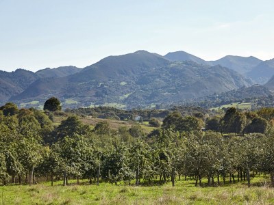 Cottage Herrenhaus in Nava mit Pool & Terrasse - Environment photo 22