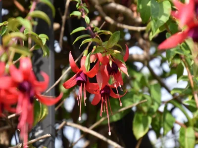 Cottage Herrenhaus in Nava mit Pool & Terrasse - Outdoor photo 30