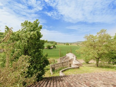 Holiday house Cottage in Wine Country - Outdoor photo 5