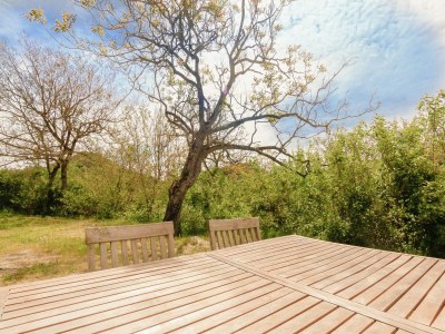 Holiday house Cottage in Wine Country - Outdoor photo 6