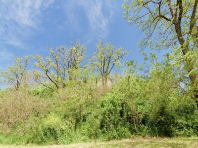 Holiday house Cottage in Wine Country - Outdoor photo 7