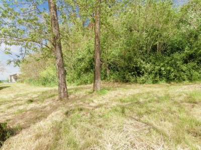 Holiday house Cottage in Wine Country - Outdoor photo 9