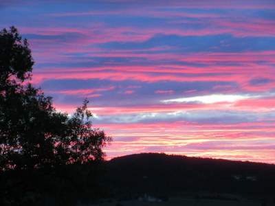 Holiday house Cottage in Wine Country - Outdoor photo 11
