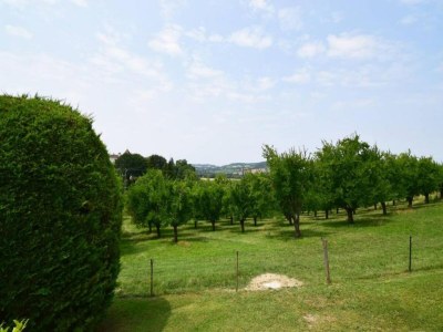 Holiday house Cottage in Wine Country - Environment photo 27