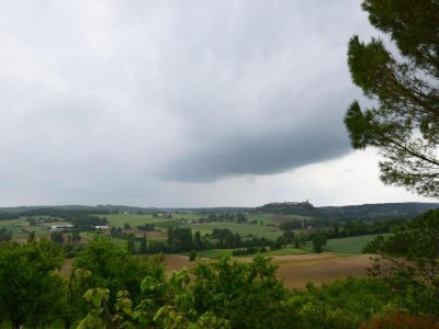 Holiday house Cottage in Wine Country - Environment photo 28