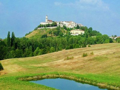 Holiday house Cottage in Wine Country - Environment photo 33