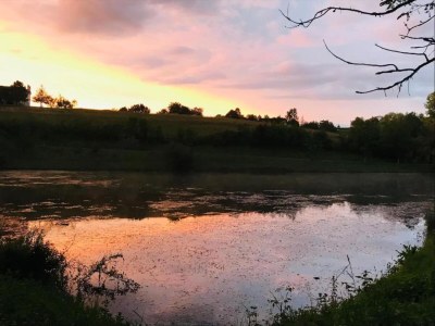 Holiday house Cottage in Wine Country - Environment photo 36