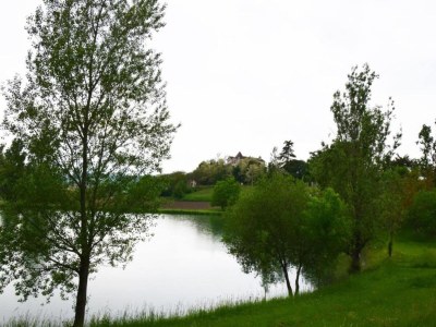 Holiday house Cottage in Wine Country - Environment photo 37