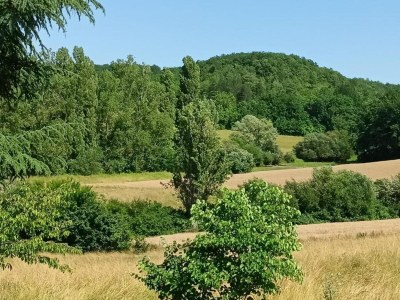 Holiday house Cottage in Wine Country - Environment photo 38