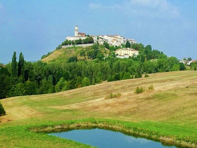 Holiday house Cottage in Wine Country - Environment photo 40