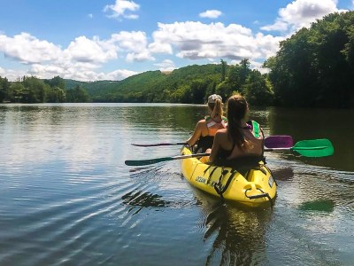 Holiday house Cottage in Wine Country - Environment photo 42
