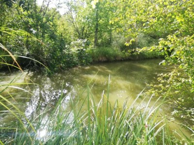 Holiday house Cottage in Wine Country - Environment photo 45