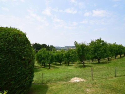 Holiday house Cottage in Wine Country - Environment photo 46