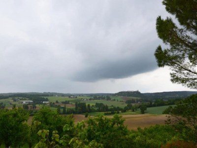 Holiday house Cottage in Wine Country - Environment photo 47