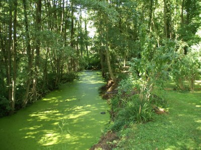 Holiday house Charming Gîte in France for a Private Getaway - Environment photo 16