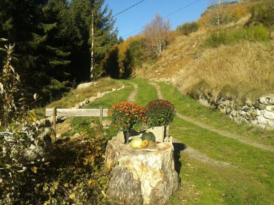 Farmhouse Charmantes Bauernhaus in Cros-de-Géorand - Outdoor photo 11